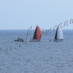 Genoa Sail Week 25mar2021-090.jpg