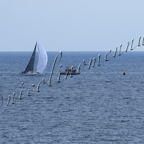 Genoa Sail Week 25mar2021-099.jpg