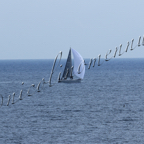 Genoa Sail Week 25mar2021-101.jpg