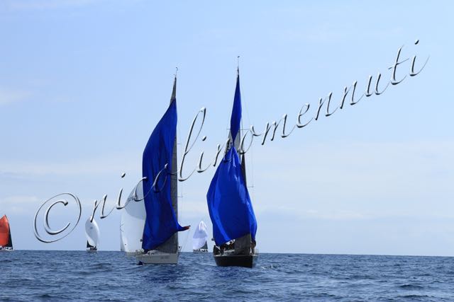 Genoa Sail Week 26mar2021-I-085.jpg