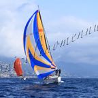Genoa Sail Week 26mar2021-I-168.jpg