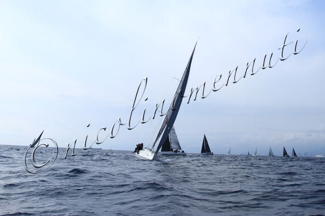 Genoa Sail Week 26mar2021-I-212.jpg