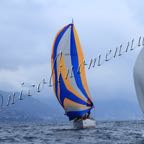 Genoa Sail Week 27mar2021-I-071.jpg