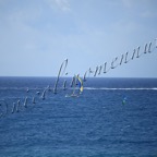 MilleVele '21-2°bis-219.jpg