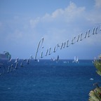 MilleVele '21-2°bis-245.jpg