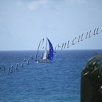 MilleVele '21-2°bis-324.jpg