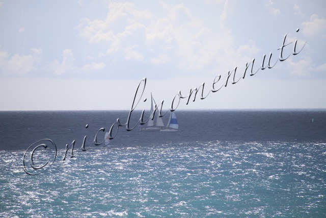 MilleVele '21-2°bis-373.jpg