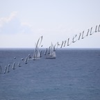 MilleVele '21-2°bis-383.jpg