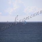 MilleVele '21-2°bis-384.jpg