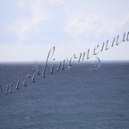 MilleVele '21-2°bis-388.jpg