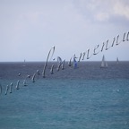 MilleVele '21-2°bis-392.jpg
