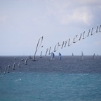 MilleVele '21-2°bis-394.jpg