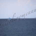 MilleVele '21-2°bis-397.jpg