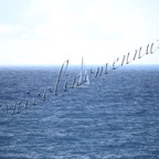 MilleVele '21-2°bis-398.jpg