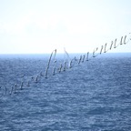 MilleVele '21-2°bis-399.jpg