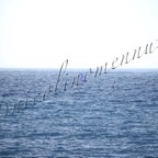 MilleVele '21-2°bis-400.jpg