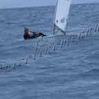 IGWC'19-9feb094.jpg