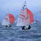IGWC'19-9feb176.jpg