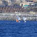 IGWC'19-17feb-214.jpg