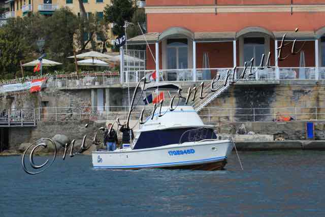 CNR2-147.jpg