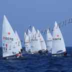 poggi2018-1^-005.jpg