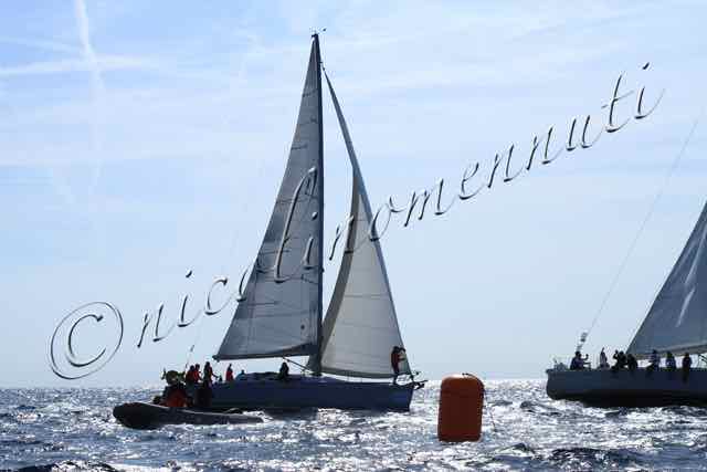 MilleVele'19.2°-198.jpg
