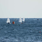 Opt.6mar2021-051.jpg