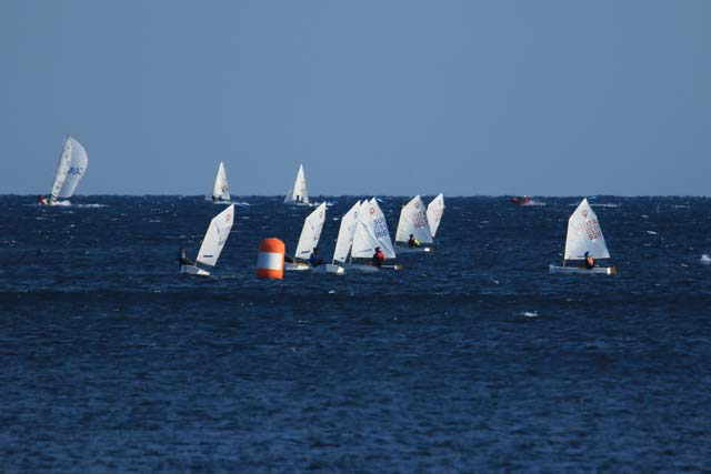 Opt.6mar2021-055.jpg