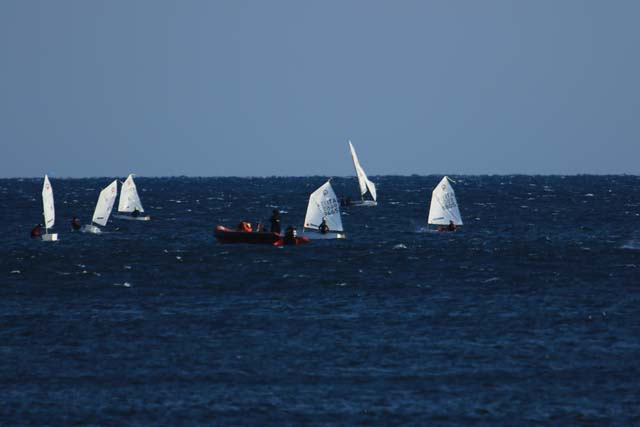 Opt.6mar2021-107.jpg