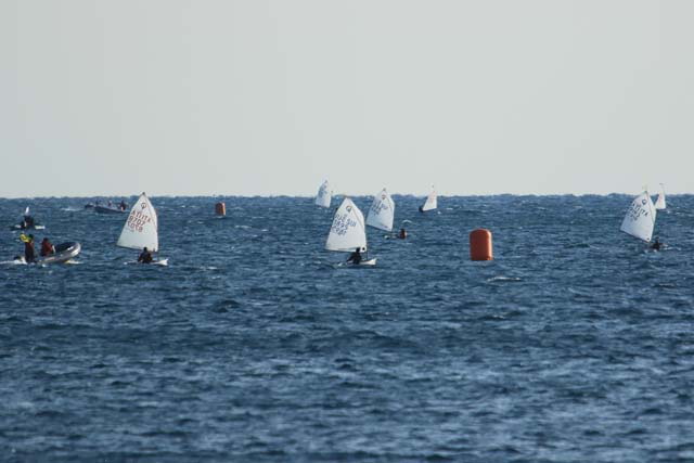 Opt.6mar2021-119.jpg
