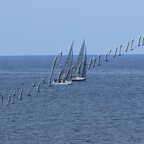 Genoa Sail Week 25mar2021-034.jpg