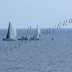 Genoa Sail Week 25mar2021-093.jpg