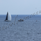 Genoa Sail Week 25mar2021-106.jpg