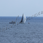 Genoa Sail Week 25mar2021-107.jpg